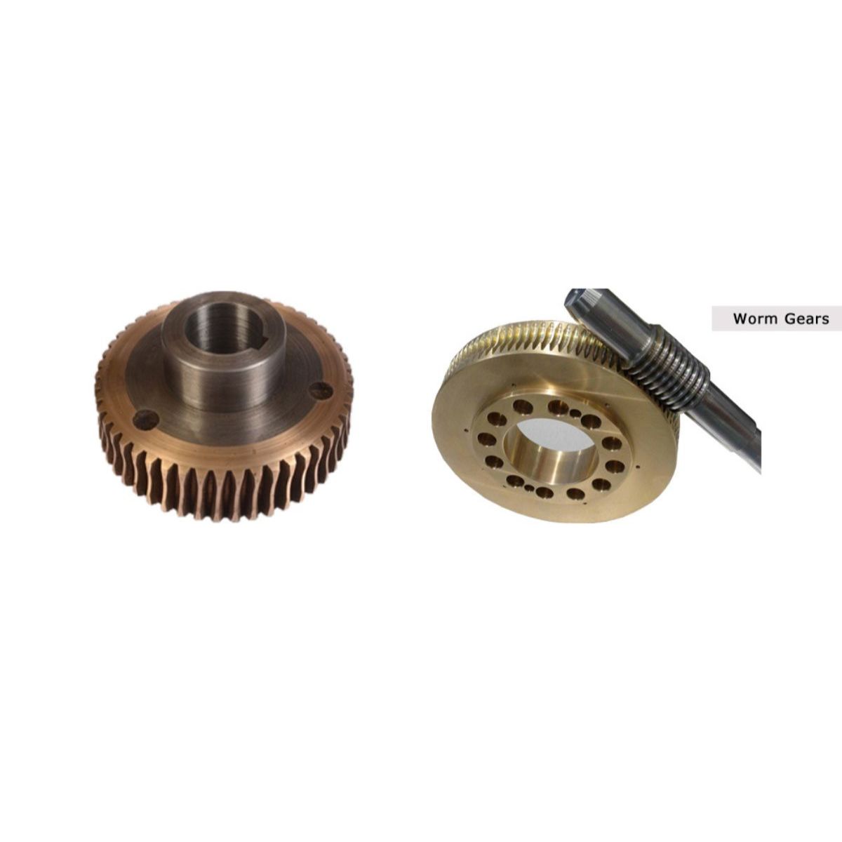 Worm Gears